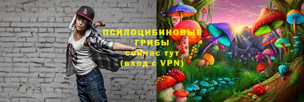 PSILOCYBIN Абдулино