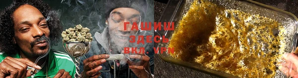 прущие грибы Касимов