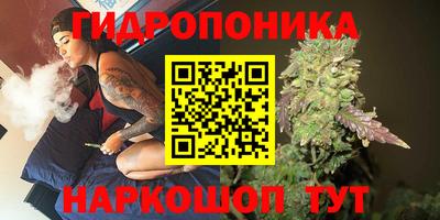 бошки Анжеро-Судженск