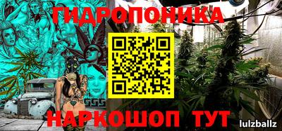 бошки Анжеро-Судженск
