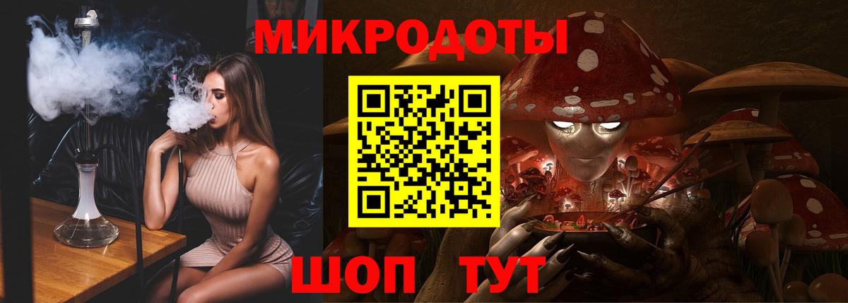 Галлюциногенные грибы Psilocybe Алатырь